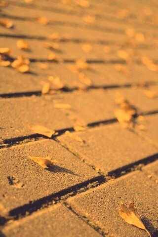 Тротуар обои