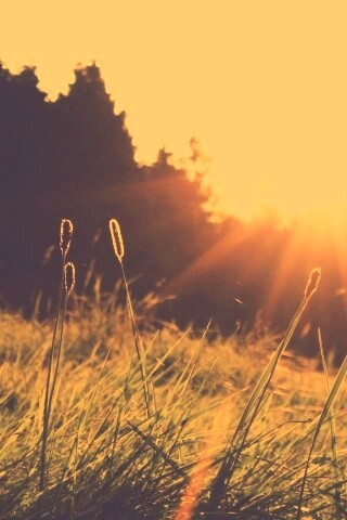 Красота природы обои