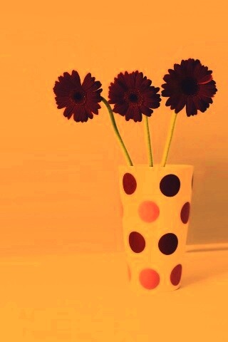 Вазочка с тремя красными герберами обои