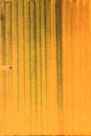 Обои для Apple обои