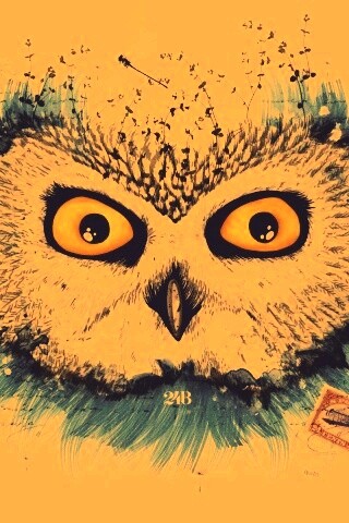 Обои сова для mac book обои