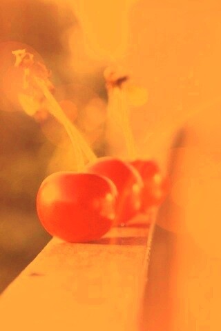 Вишенки на перилах обои