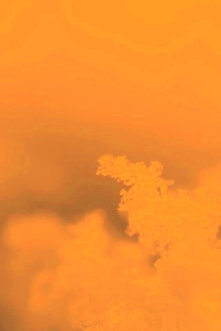 Макро фото снега обои