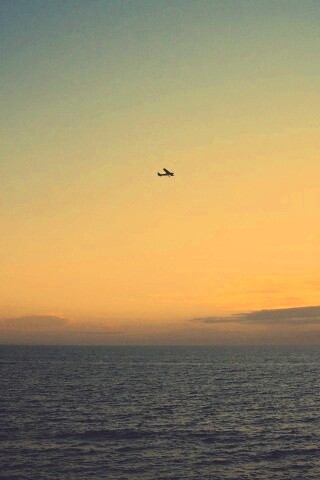 Паращий над морем обои