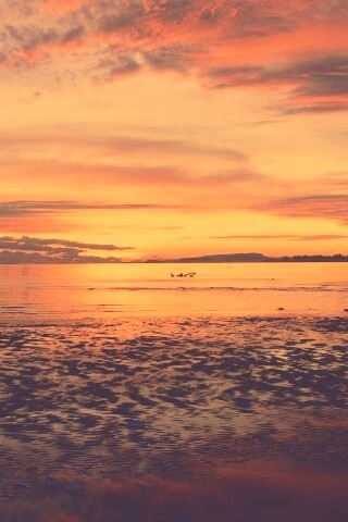 Прекрасный рассвет обои