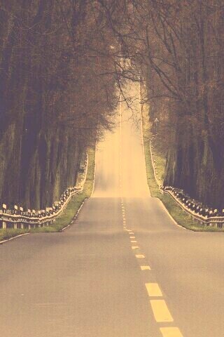 Дорога уходит ввысь обои