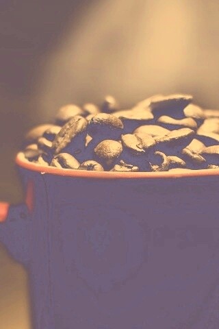 Полная кружка кофейных зёрен обои