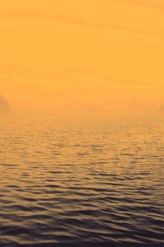 Речной туман обои