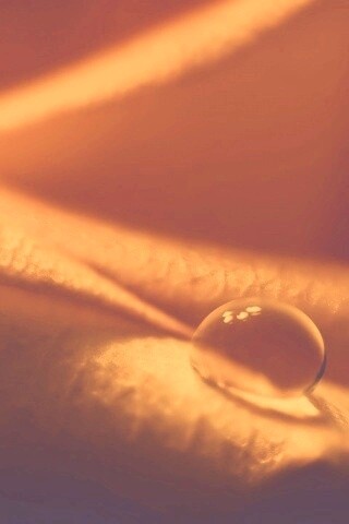 Капелька обои