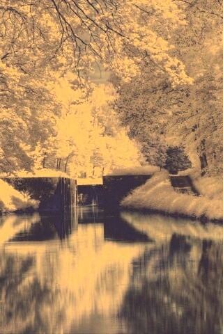 Замёрзжий канал обои