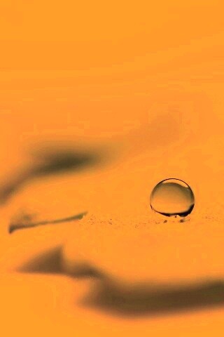 Капля на замёрзжем листе обои