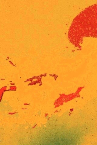 Розовая медуза обои