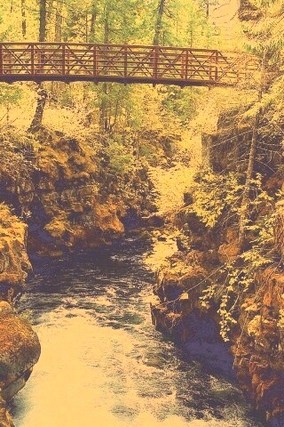 Мостик через реку в лесу обои