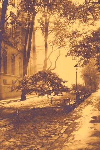 Аллея у здания обои