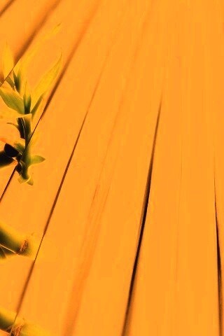 Белый росток обои