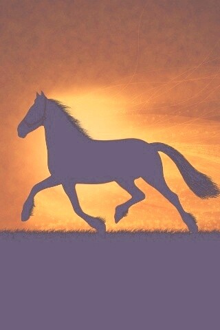 Силует коня на закате обои