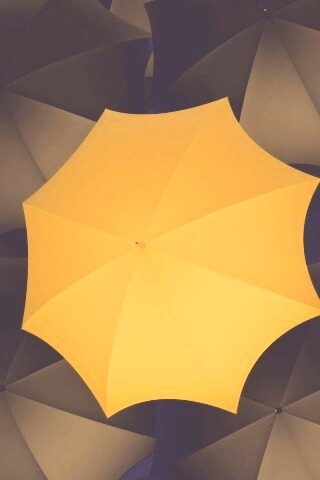 Жёлтый среди чёрных обои