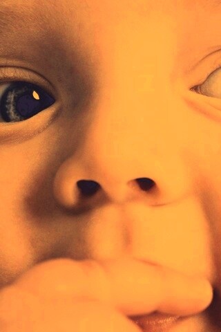 Что-то замышляет... обои