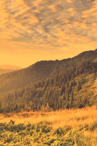 Предгорье обои