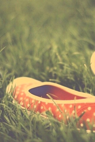 Красные тапки в горошек обои