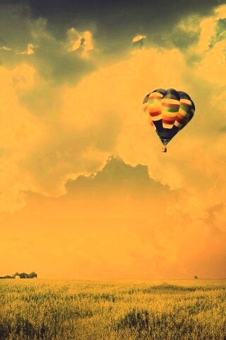 Воздушный шар над зеленым лугом обои
