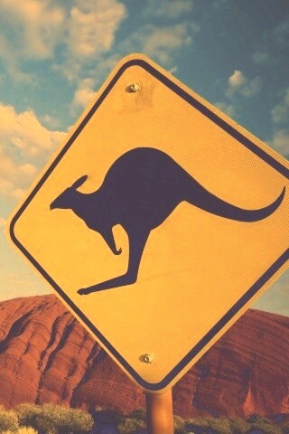 Осторожно, кенгуру! обои