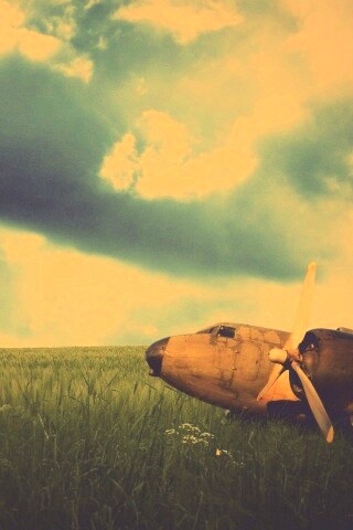 Старый ржавый самолет на лугу обои