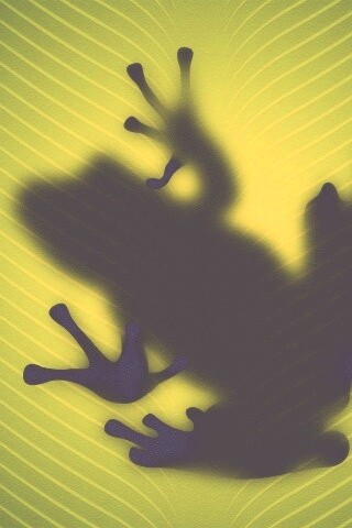 Силуэт лягушки просвечивает сквозь зеленый лист обои