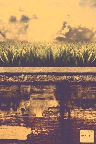 По другю сторону обои