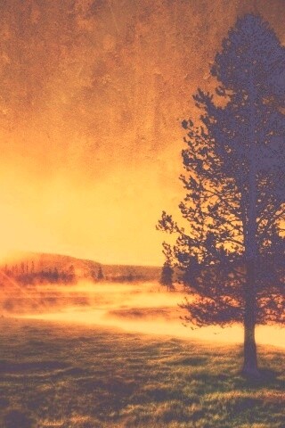 Закат за речкой обои