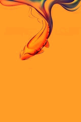 Золоая рыбка  обои