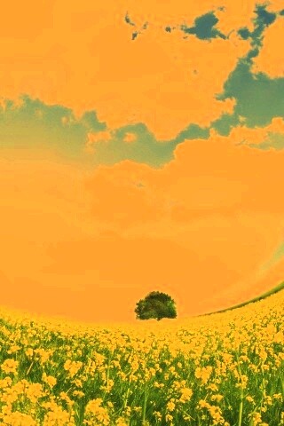 Искаженный мир обои