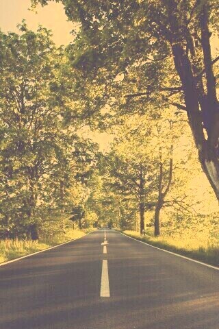 Прямая дорога обои