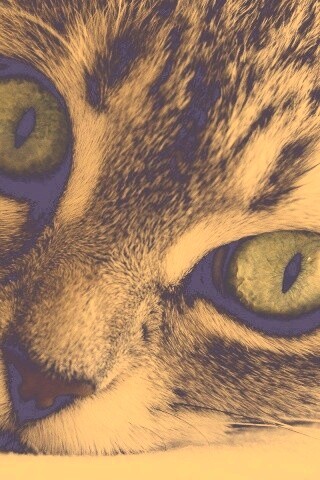 Взгляд обои