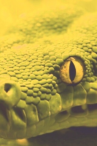 Страшно красивая обои