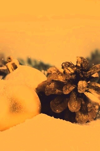 Новогодний натюрморт обои