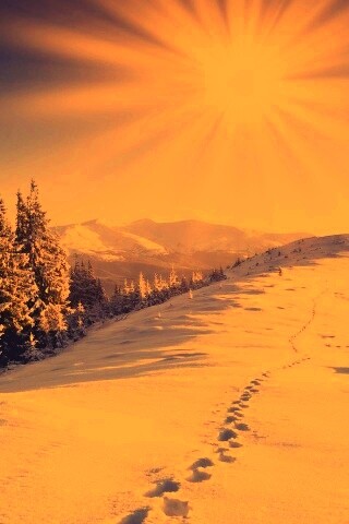 Холодные лучи зимнего солнца обои