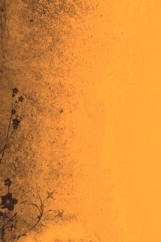 Фон с красивым черным узором обои