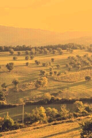 Ферма в долине обои