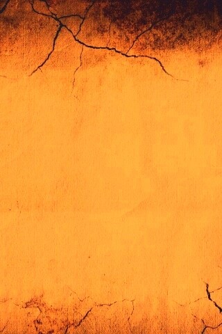 Обезвоживание обои