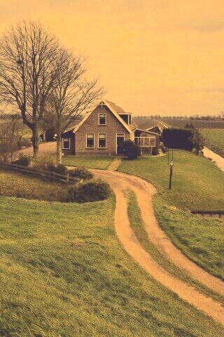 Дом в поле обои