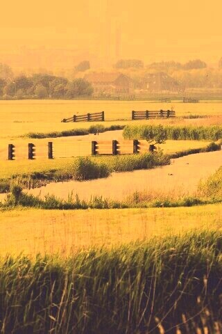 Пригород обои