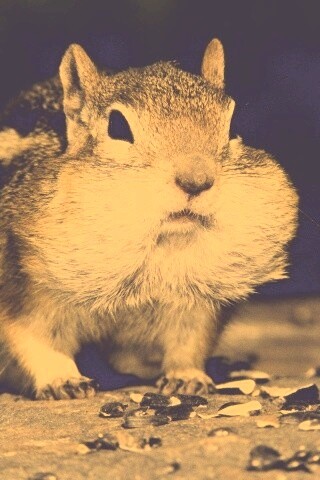 Не жадный, а бережливый обои