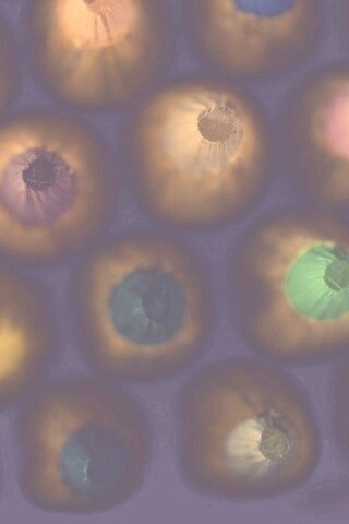 Карандаши обои