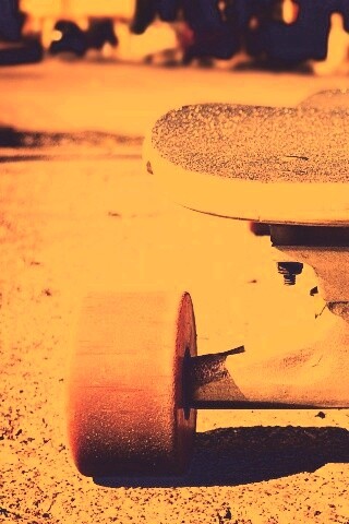 Скейтборд на солнце обои