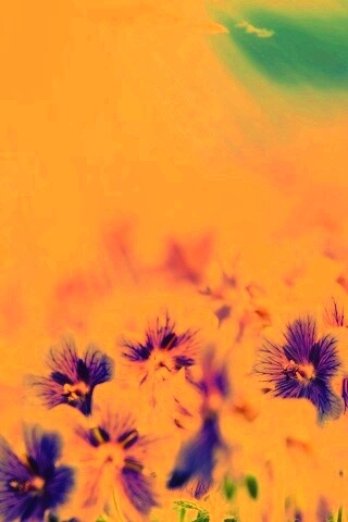 Цветочки обои