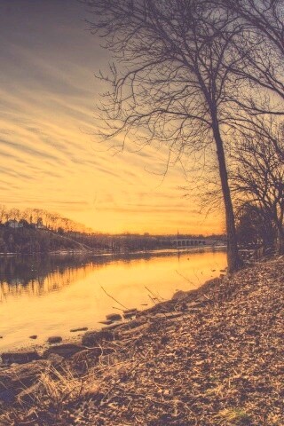 Осенний закат обои