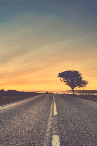 Дорога обои