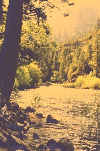 Национальный заповедник обои