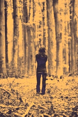 Одна в лесу обои